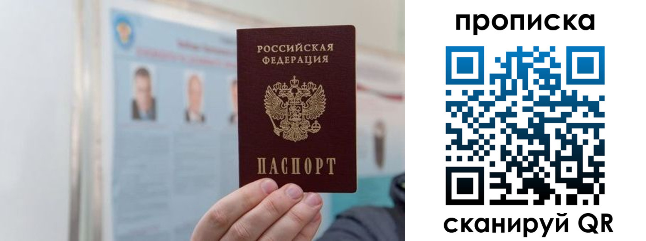 прописка 2025 в Шумихе