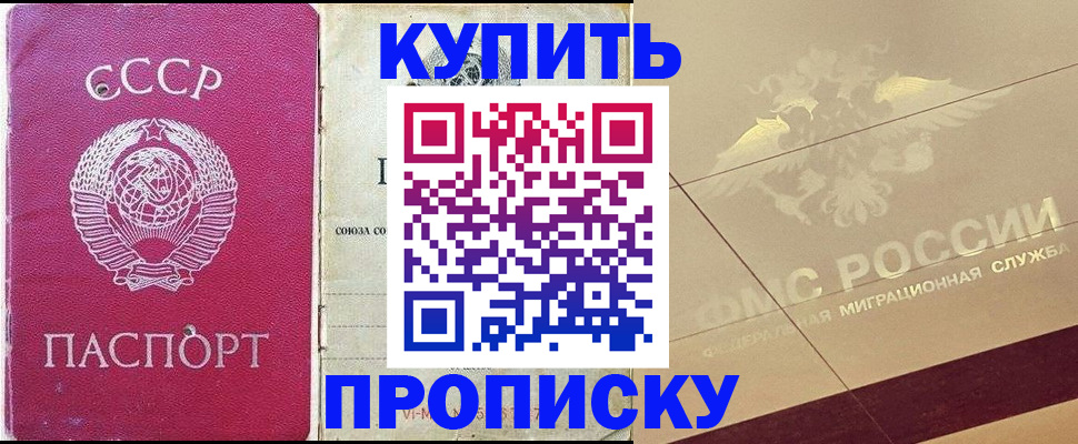 прописка для школы в Шумихе